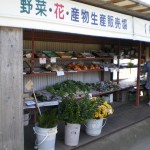 姶良市山田口にある直売所、四季折々の野菜が買える「田舎の館」