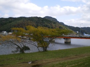 花・植物