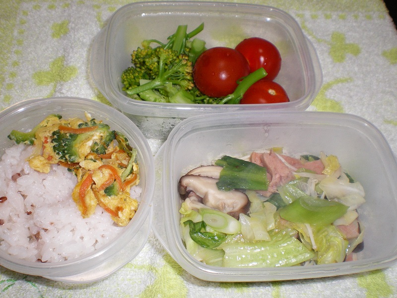 bentou150306aMGP0124