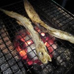 深海魚の「げんげ」の干物を七輪で焼いて食べる、美味