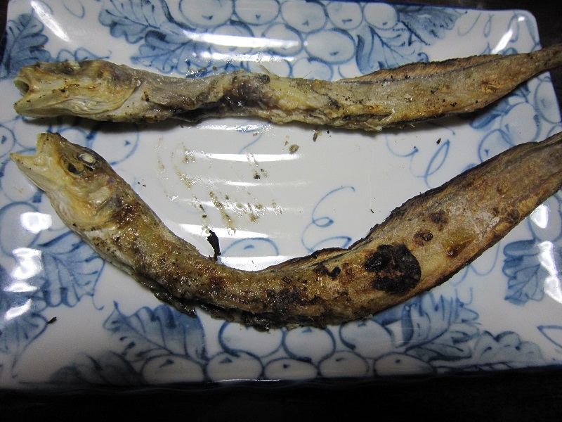 深海魚の げんげ の干物を七輪で焼いて食べる 美味 姶良霧島 Aira Kirishima