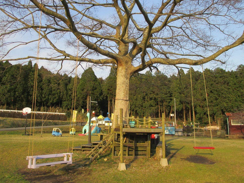 南九州市知覧町東別府 山なぎ公園 ソロキャンプ 19 03 16 17 鶏刺しとおでん 姶良霧島 Aira Kirishima