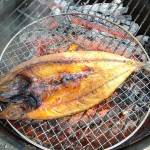 東串良町「ふれあいの森キャンプ場」でディキャンプ、干物を焼いて食べる