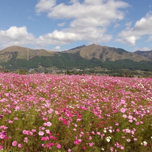 風景